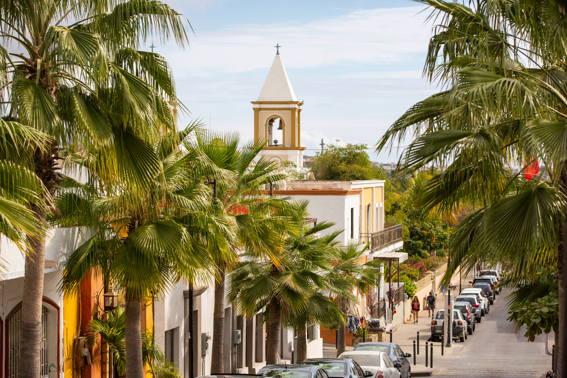 20 san josé del cabo.webp